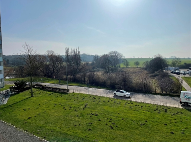 Ausblick